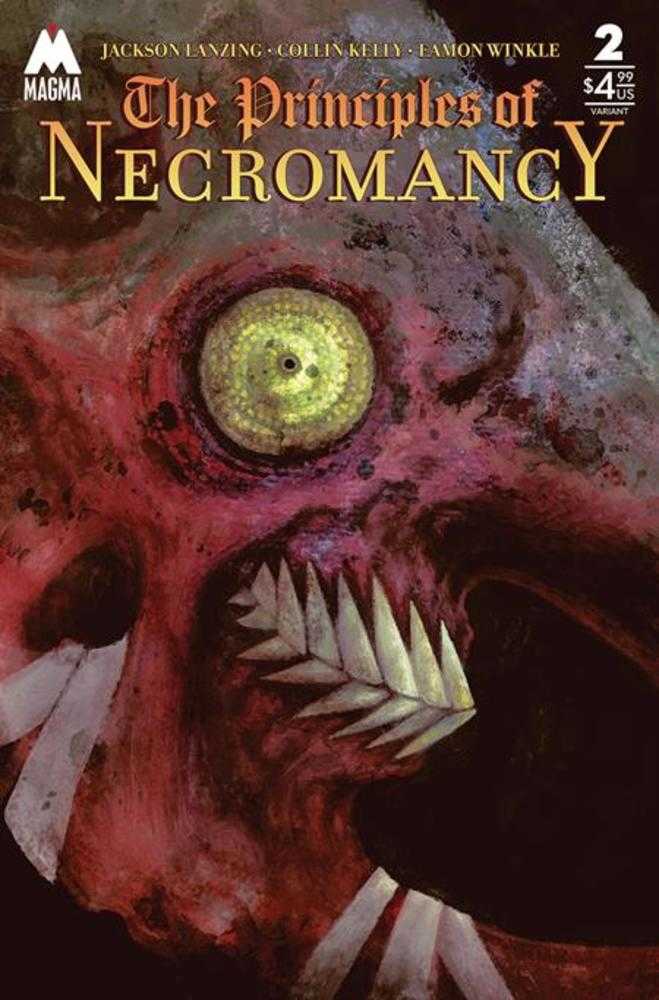 Principles Of Necromancy #2 Cover B Jana Heidersdorf Cardstock Variant (Mature)