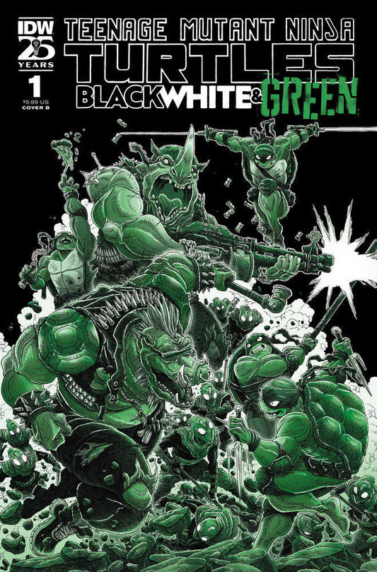 Teenage Mutant Ninja Turtles: Black, White, And Green #1 Variant B (Stokoe)