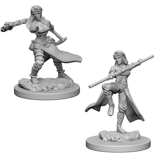 D&D: HUMAN MONK v1 (FEMALE) Unpainted Minis