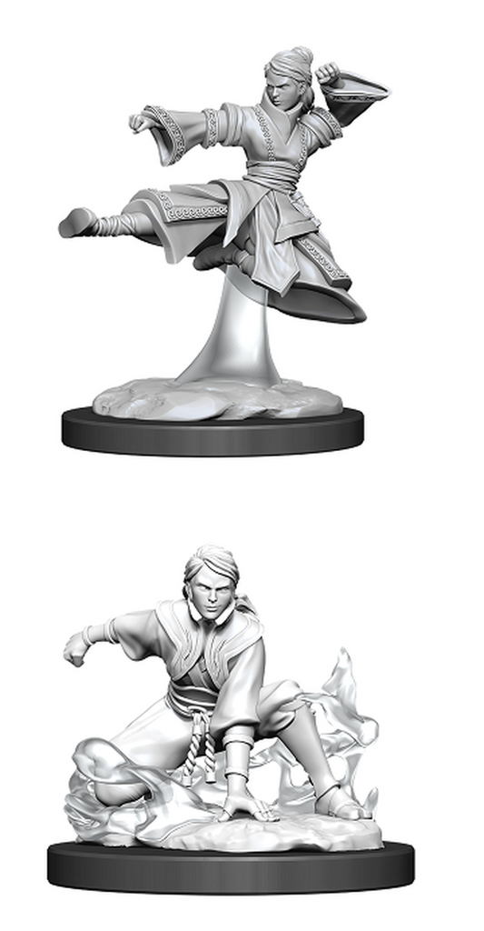 D&D: HUMAN MONK v2 (FEMALE) Unpainted Minis