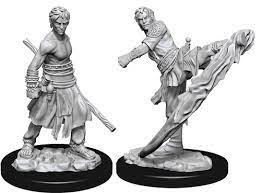 D&D: HALF-ELF MONK (MALE) Unpainted Minis