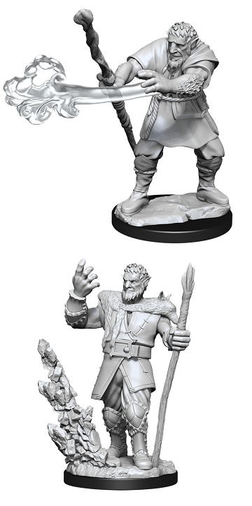 D&D: FIRBOLG DRUID (MALE) Unpainted Minis